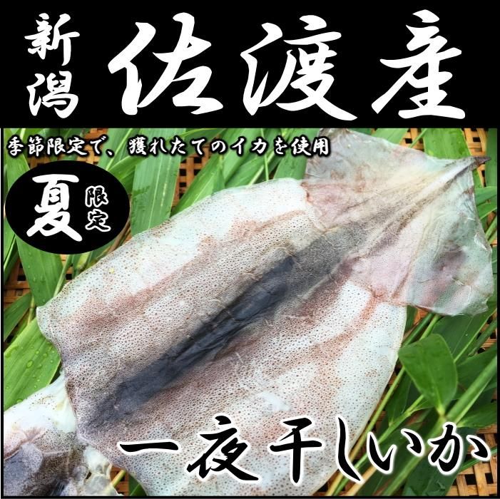 佐渡のこだわり一夜干しいか（3枚入り）