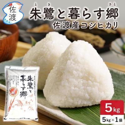 <img class='new_mark_img1' src='https://img.shop-pro.jp/img/new/icons5.gif' style='border:none;display:inline;margin:0px;padding:0px;width:auto;' />ڿͽ 7ǯ ϻҥ ǧ 5kg<br> 餹̵ۡءۡ10ܡܤȯͽ