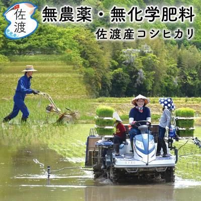 <img class='new_mark_img1' src='https://img.shop-pro.jp/img/new/icons65.gif' style='border:none;display:inline;margin:0px;padding:0px;width:auto;' />����7ǯ�� ��̵������̵���������亴�ϻ������ҥ��� 10kg<br>���̺����� �ڲ����������̵���ۡ������ء�