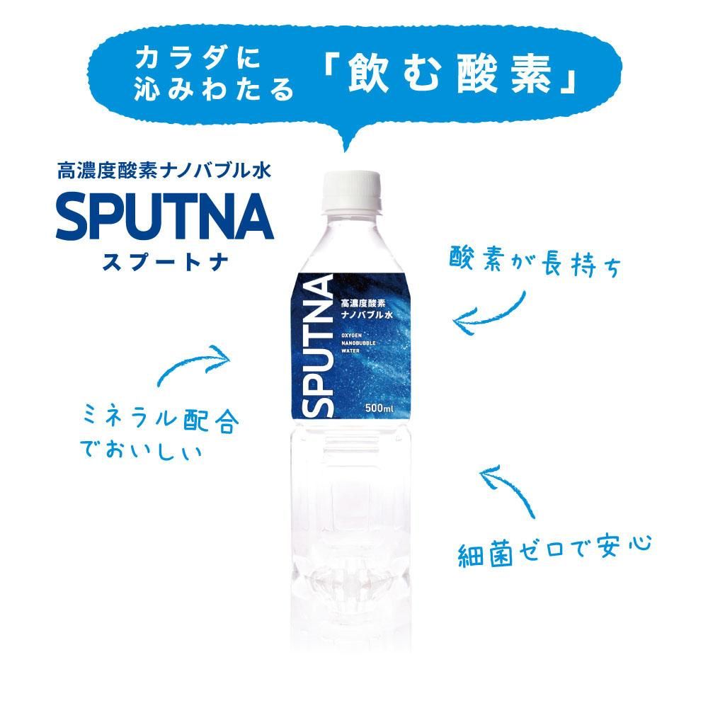 ǻٻǥʥΥХ֥ SPUTNA