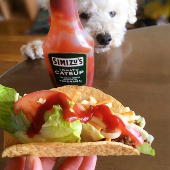 清水屋ケチャップ セミハードボトル - 鎌倉八座オンラインショップ