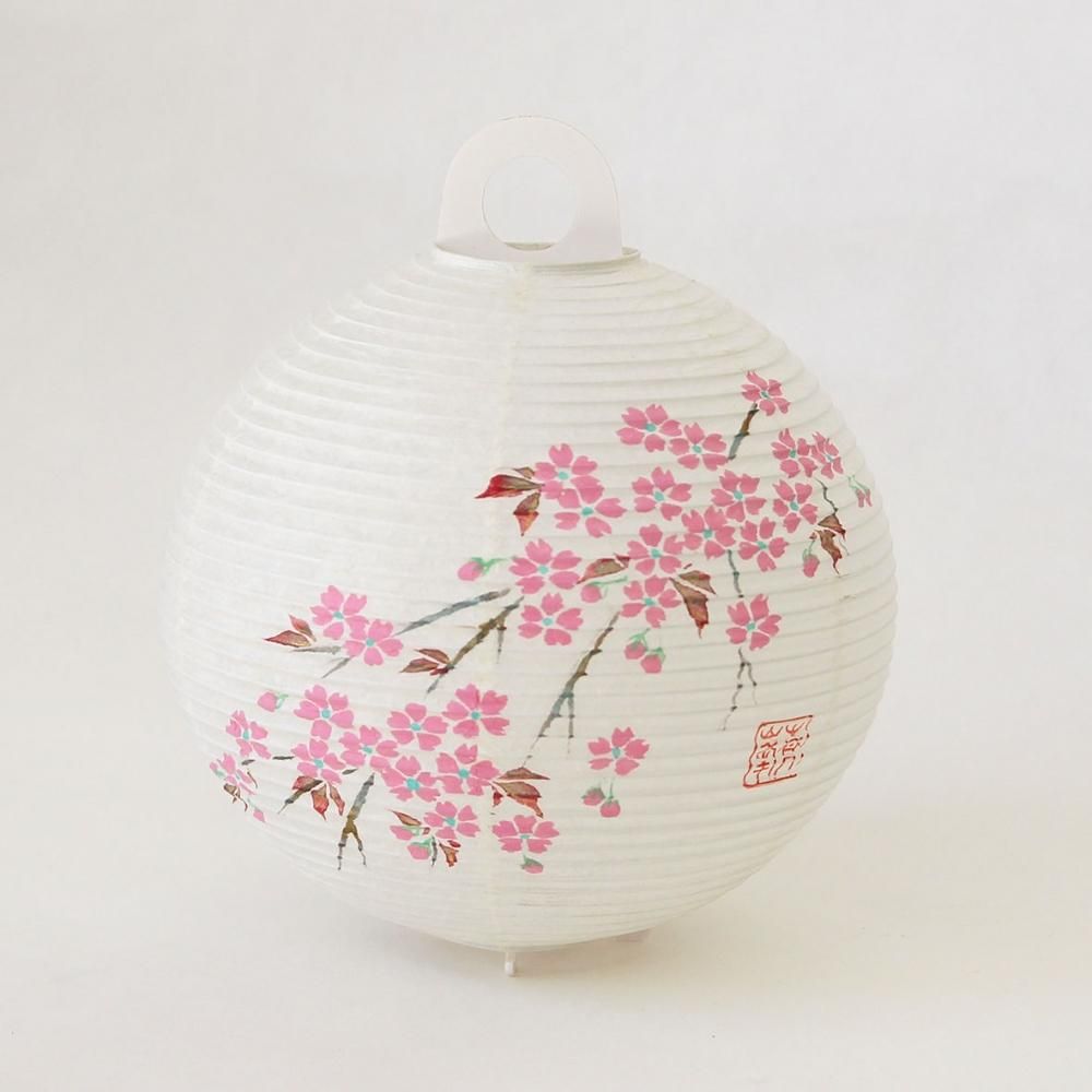 レター提灯/ギフト提灯 桜 - あかりや次七 レター提灯/ギフト提灯 桜 - あかりや次七
