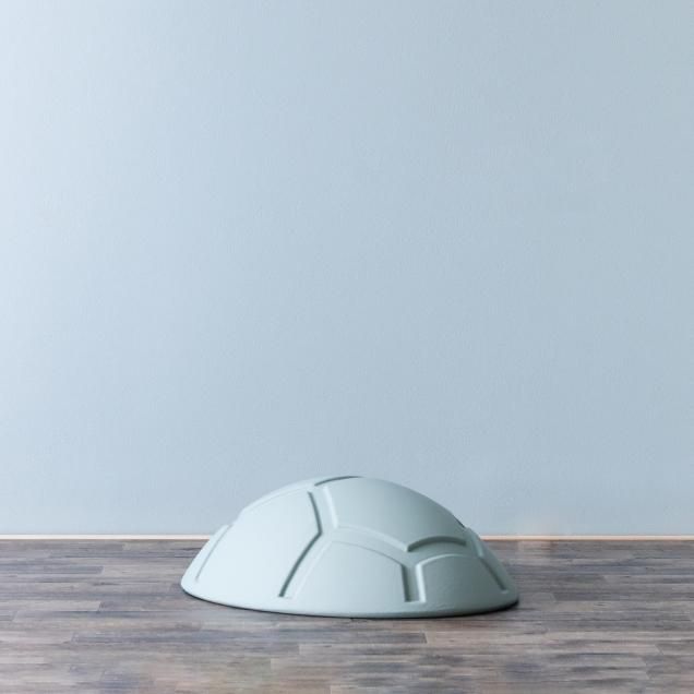 ɤ֤Ĳȶ <br>Turtle