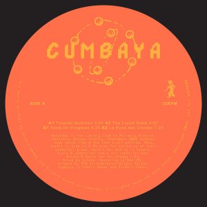 Cumbaya / UntitledTribal, Ambient, New Age, Crossover / New 12