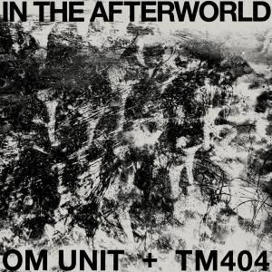 Om Unit + TM404 / In The AfterworldAcid, Dub, Bass Music, Ambient, Crossover / New LP