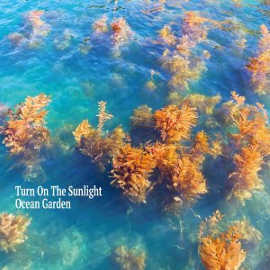 Turn On The Sunlight / Ocean GardenJazz, World, Ambient, New Age / New LP