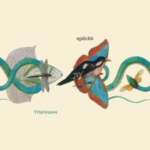 specht / TriptyquesWorld, Ambient, Crossover / New LP