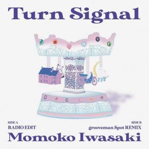  / Turn SignalR&B, Neo Soul / New 7ɡ
