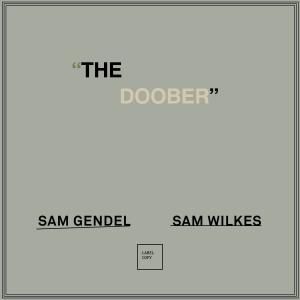 Sam Gendel & Sam Wilkes / The DooberJazz, Ambient, Crossover / New LP