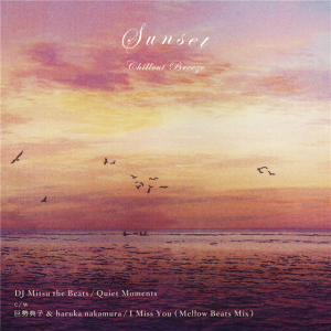 DJ Mitsu the Beats / Quiet MomentsHip Hop, DownTempo / NEW 7ɡ