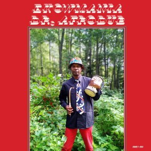 Ekowmania / Dr. AfrodubDub, Roots Reggae, African / NEW LP