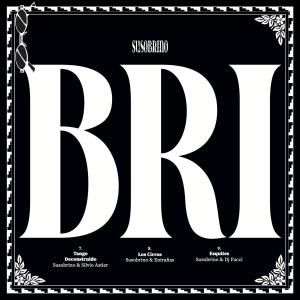 Susobrino / BriCumbia, Downtempo, Crossover / NEW 7ɡ