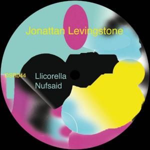 Various / DSR House Ep 4House / NEW 12EP