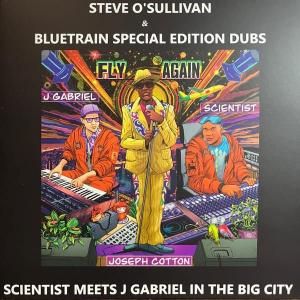 Scientist Meets J Gabriel / Fly Again Dub RemixesDub, Techno, Tech House, Crossover / NEW 12