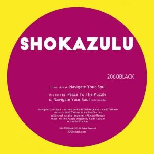 Shokazulu / Navigate Your Soul / Peace To The PuzzleNu Jazz, Beatdown, Crossover / NEW 12EP