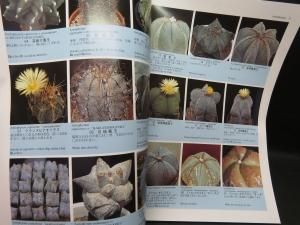 サボテン 多肉植物 本 原色サボテン事典 CACTUS HAND BOOK