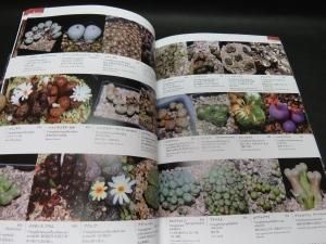 サボテン 多肉植物 本 世界の多肉植物 3070種 佐藤 勉 著 P,307