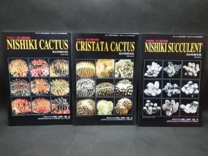 サボテン斑入種写真集 多肉植物斑入種写真集 サボテン綴化種写真