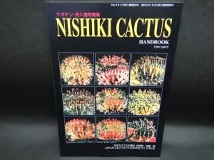 サボテン斑入種写真集 多肉植物斑入種写真集 サボテン綴化種写真