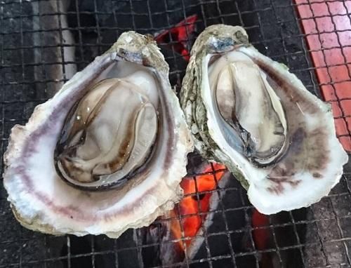 株式会社浜崎水産】天草天領岩かき 2kg入（約8個） - oisi