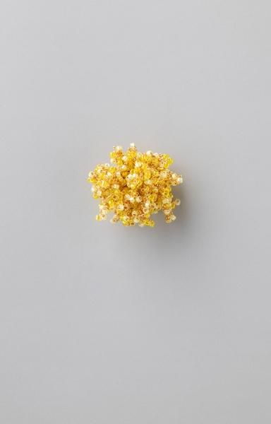 Ϥޤλ  MIMOSA/M ()ʧǧ塢2ȯ