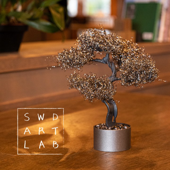 <img class='new_mark_img1' src='https://img.shop-pro.jp/img/new/icons57.gif' style='border:none;display:inline;margin:0px;padding:0px;width:auto;' />SWD ART LAB BONSAI KIT #3