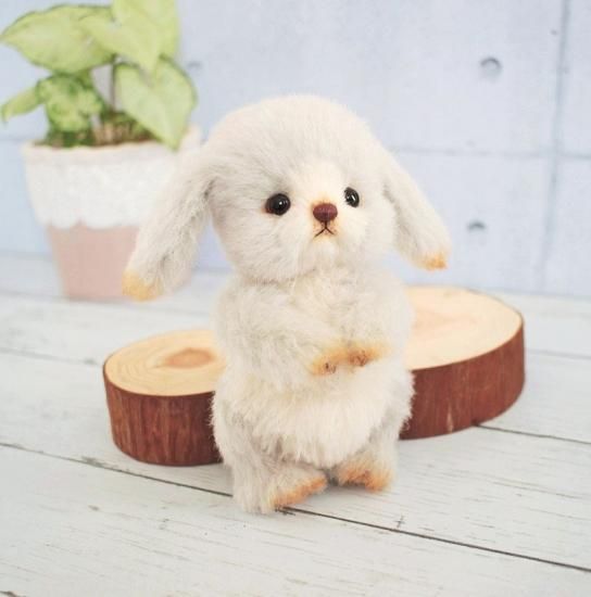 ◇くるみの木◇ ほっぺ垂れ耳うさちゃん - lintupuu