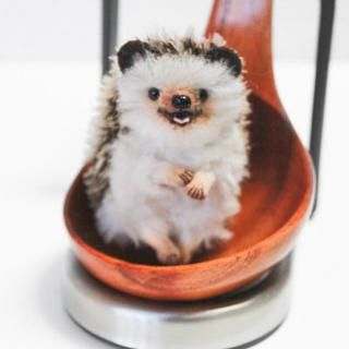 梡K-serattaдΥϥ꡼233,000(ǡ)
