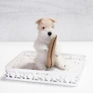 梡K-serattaʥ磻䡼եåƥꥢ26,400(ǡ)
