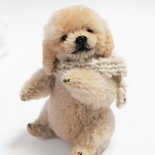 梡K-serattaʥǥȥС26,400(ǡ)
