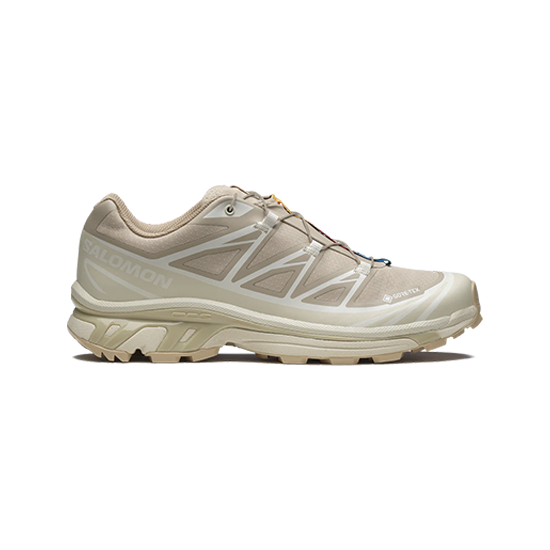 <img class='new_mark_img1' src='https://img.shop-pro.jp/img/new/icons13.gif' style='border:none;display:inline;margin:0px;padding:0px;width:auto;' />SALOMON () / XT-6 GORE-TEX - Oxford Tan / Almond Milk / Safar