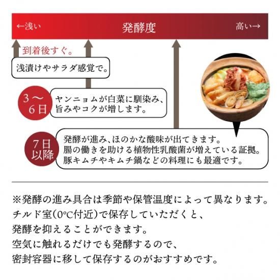 白菜キムチ 株漬け 国産 1kg レギュラータイプ - 李朝園公式 白菜キムチ 株漬け 国産 1kg レギュラータイプ - 李朝園公式