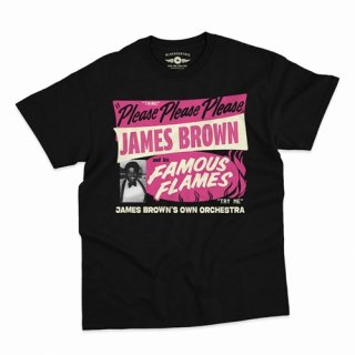 JAMES BROWN FAMOUS FLAMES T-SHIRT / CLASSIC HEAVY COTTON 