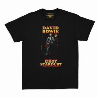 DAVID BOWIE ZIGGY STARDUST & THE SPIDERS FROM MARS T-SHIRT  / CLASSIC HEAVY COTTON 