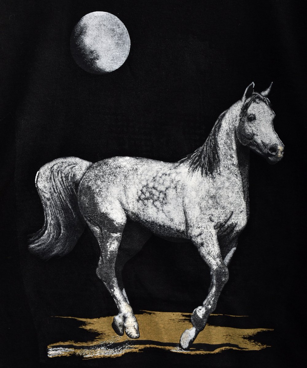 Made in USA FRUIT OF THE ROOM Horse Moon Print T Shirtá֥ե롼ĥ֥롼ץۡࡼ ץTġꥫͥ