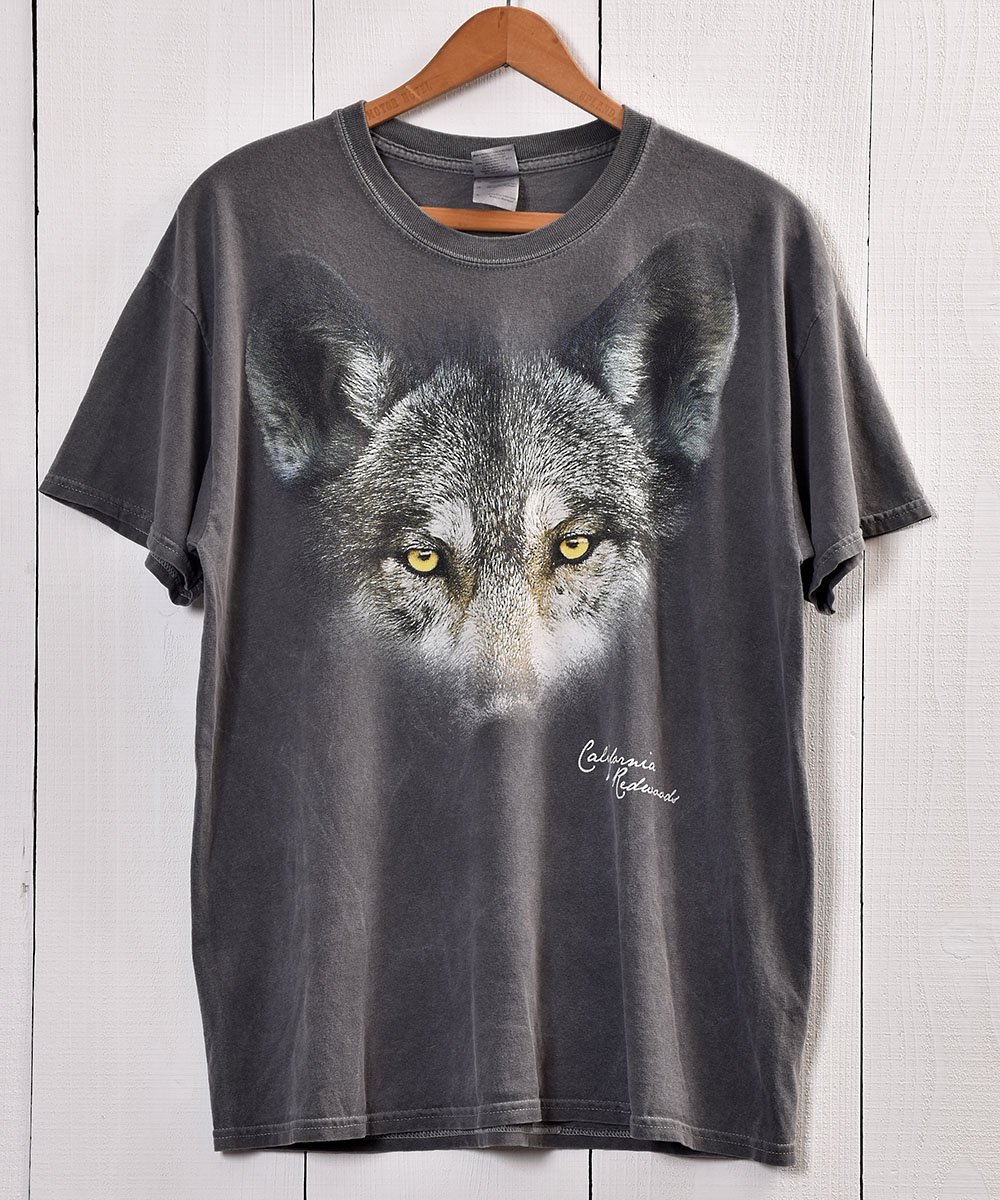  Animal Print  T Shirt  å˥ޥץT | wolf |  |  |졼  ͥå  岰졼ץե롼 ࡼ