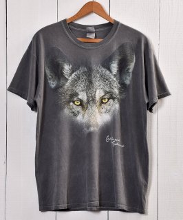 Animal Print  T Shirt  å˥ޥץT | wolf |  |  |졼 Υͥå 岰졼ץե롼 ࡼ