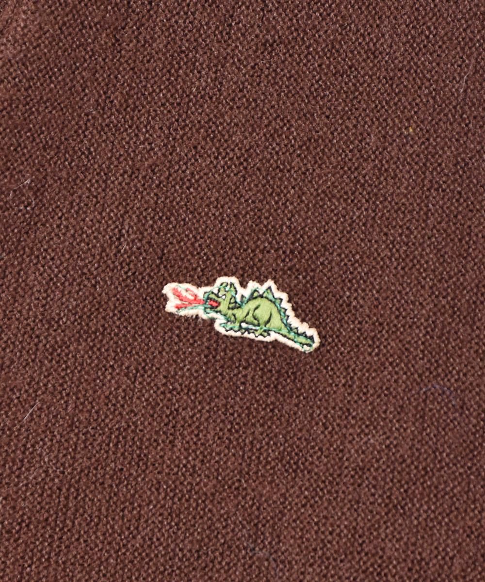 ˥åȥǥ ɥ饴 ֥饦󥵥ͥ