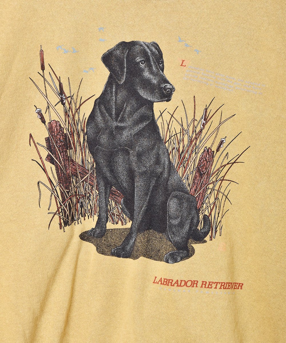 アメリカ製 プリントスウェット 犬 - 古着のネット通販サイト 古着屋 