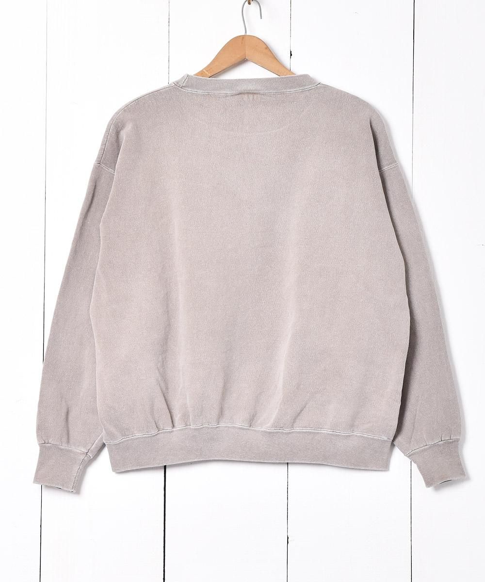 ꥫ MINESOTA UNIVERSITY ץȥåȥͥ