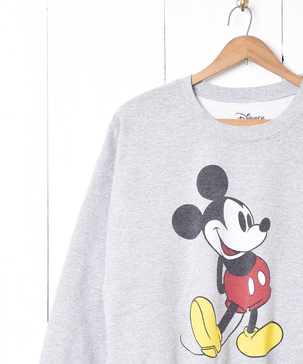 Disneyץߥåޥ ץȥåȥͥ