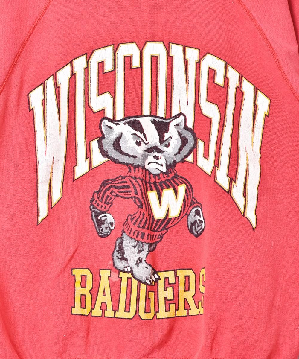 󥷥 Badgers åץ åȥͥ