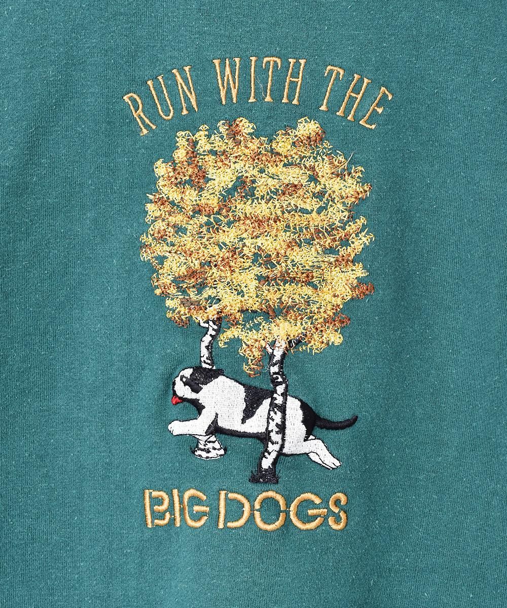 ɽǥ ӥå륨å åȥĥͥ