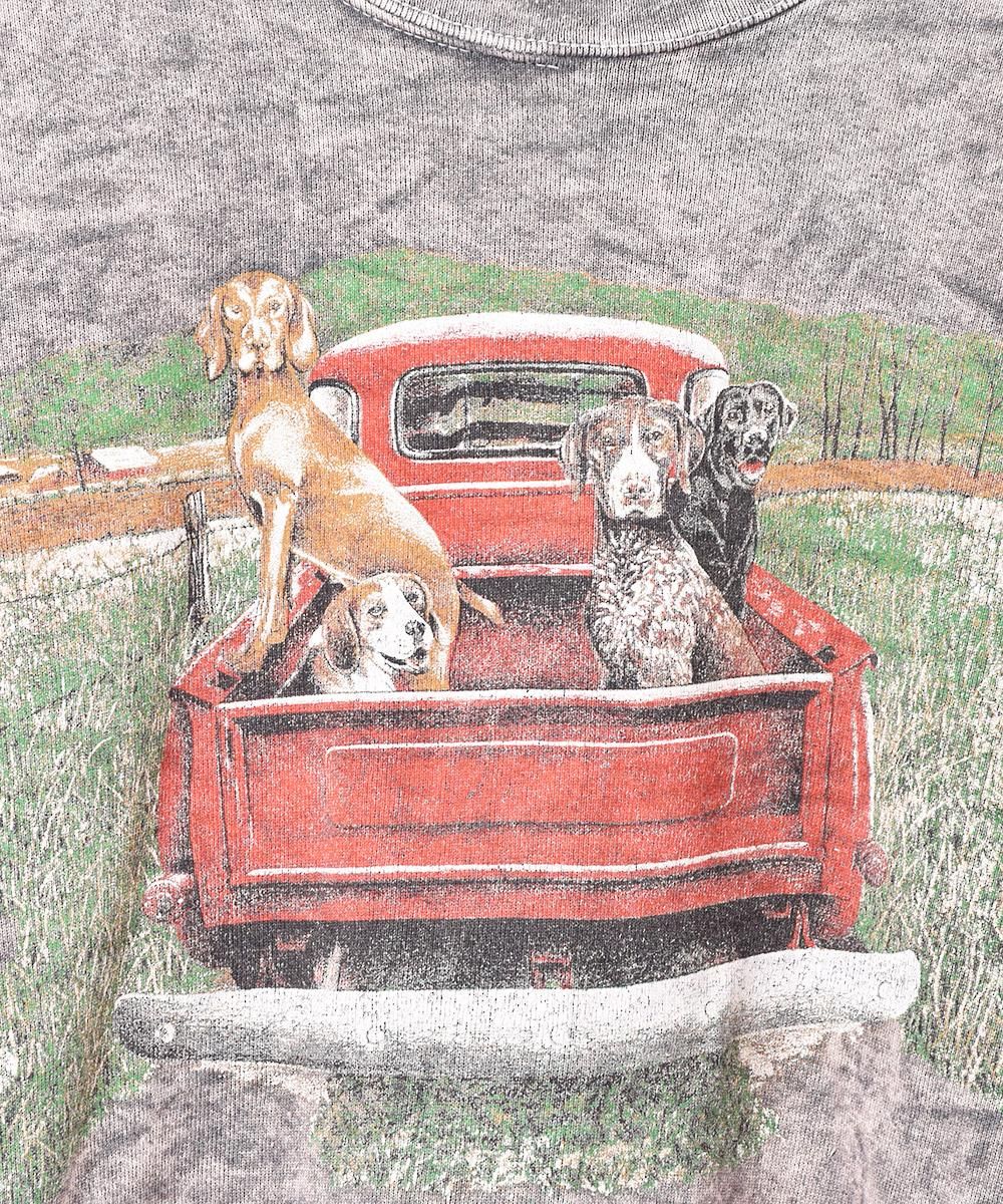 ˥ޥץ ΢ 롼ͥååȥĥͥ