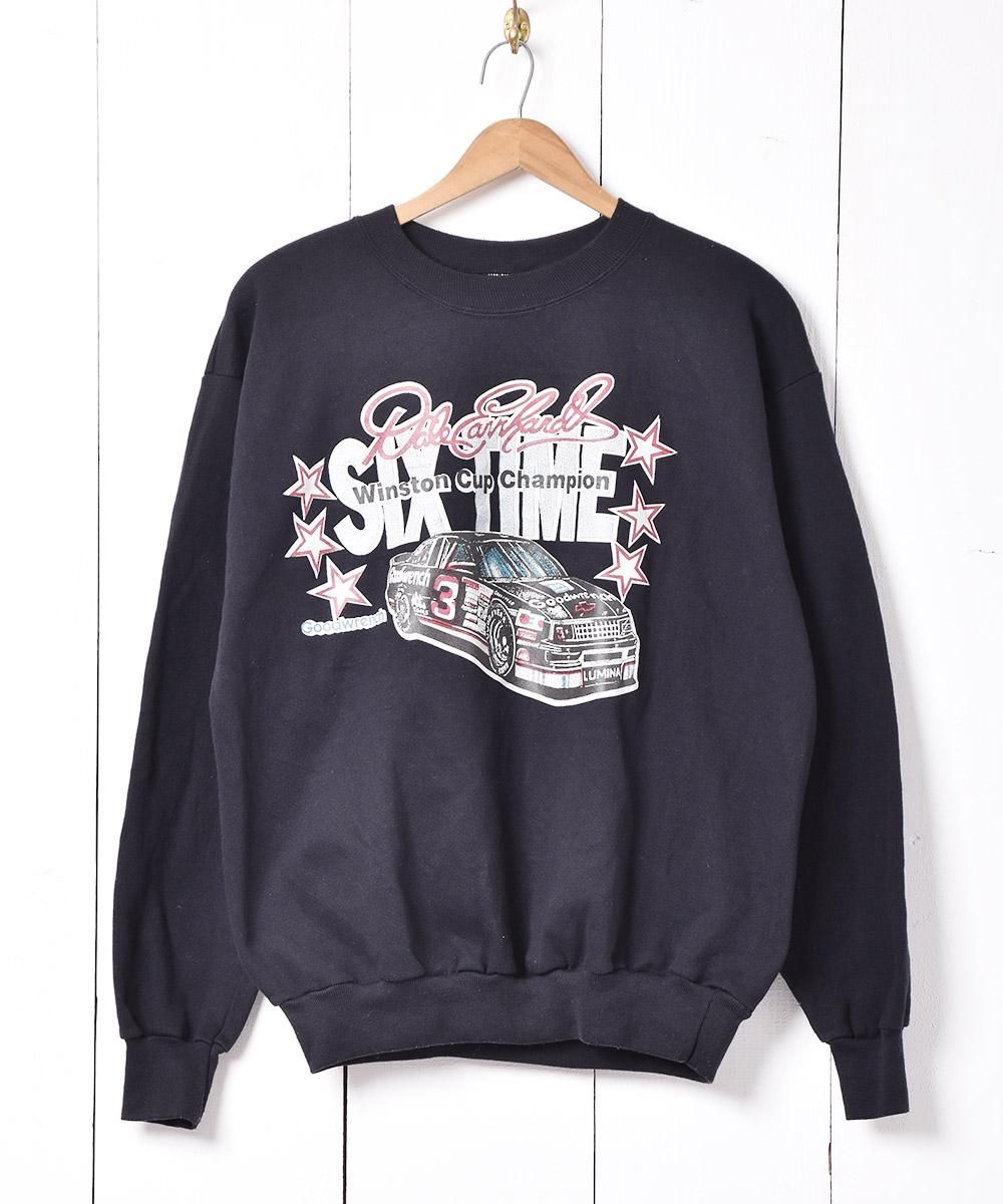  졼 ץȥå  ͥå  岰졼ץե롼 ࡼ