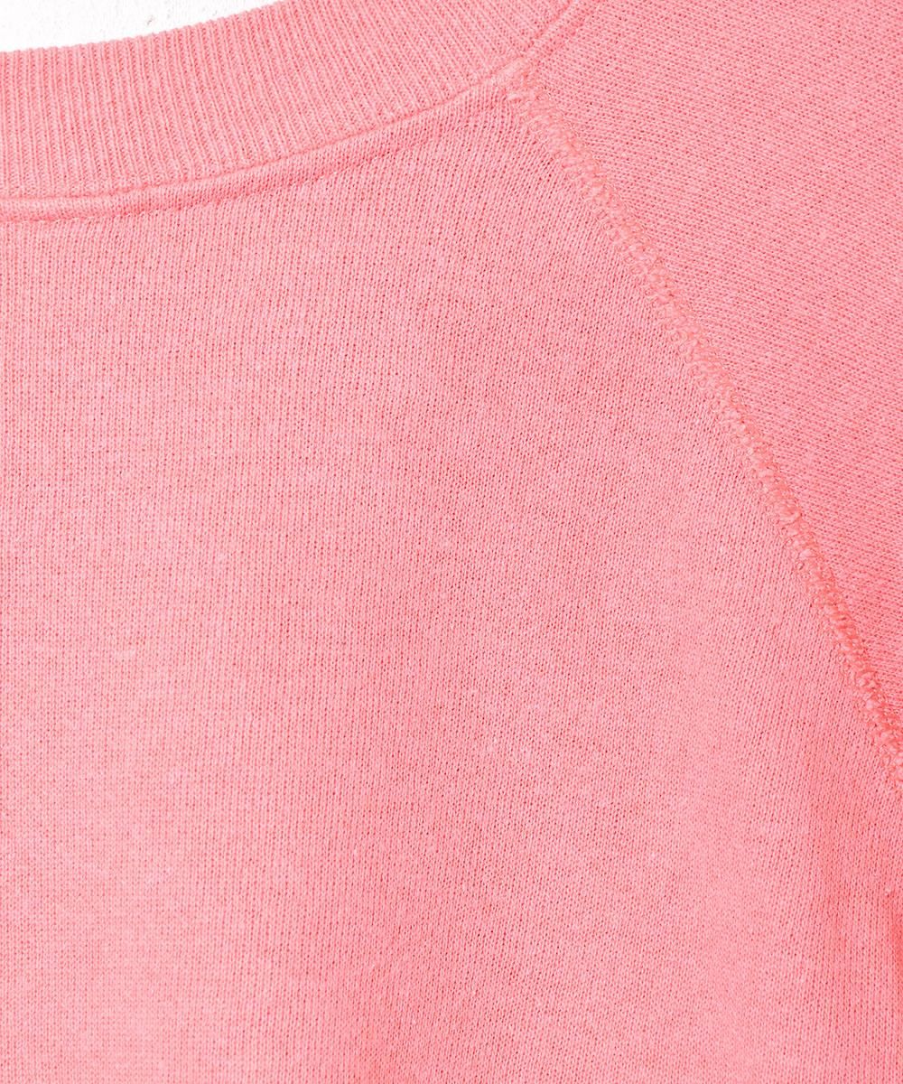 ꥫ ɥ꡼७å㡼 ץȥåȥͥ