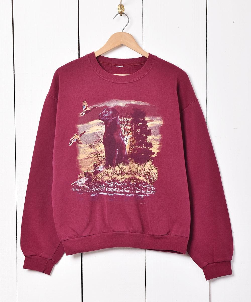  ˥ޥ ץȥåȥ  ͥå  岰졼ץե롼 ࡼ