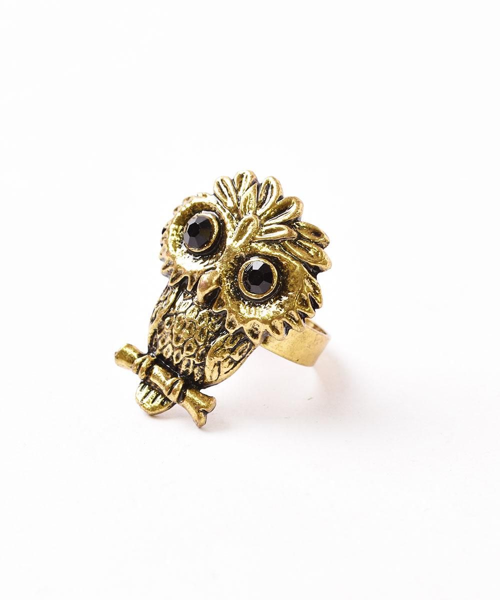  ե ɥ顼  ͥå  岰졼ץե롼 ࡼ