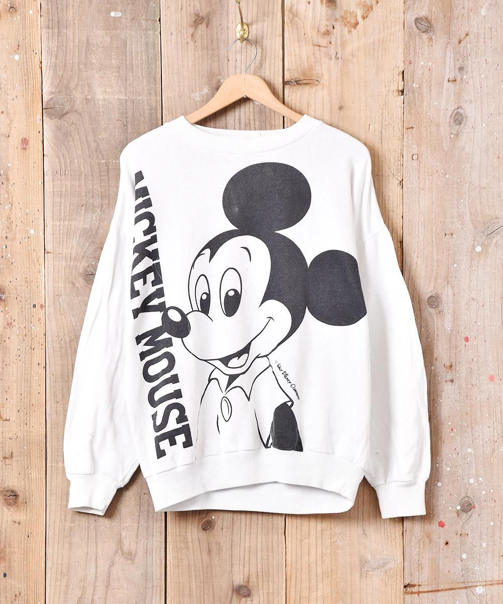  Walt Disney COMPANY ߥåޥ ץȥå  ͥå  岰졼ץե롼 ࡼ