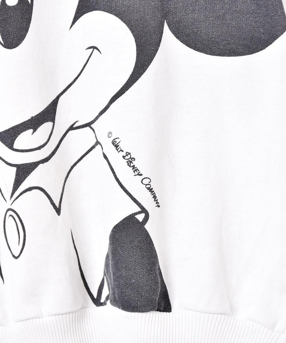 Walt Disney COMPANY ߥåޥ ץȥåȥͥ